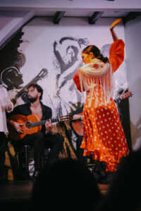 Flamenco dancer performing in Seville during an intimate show